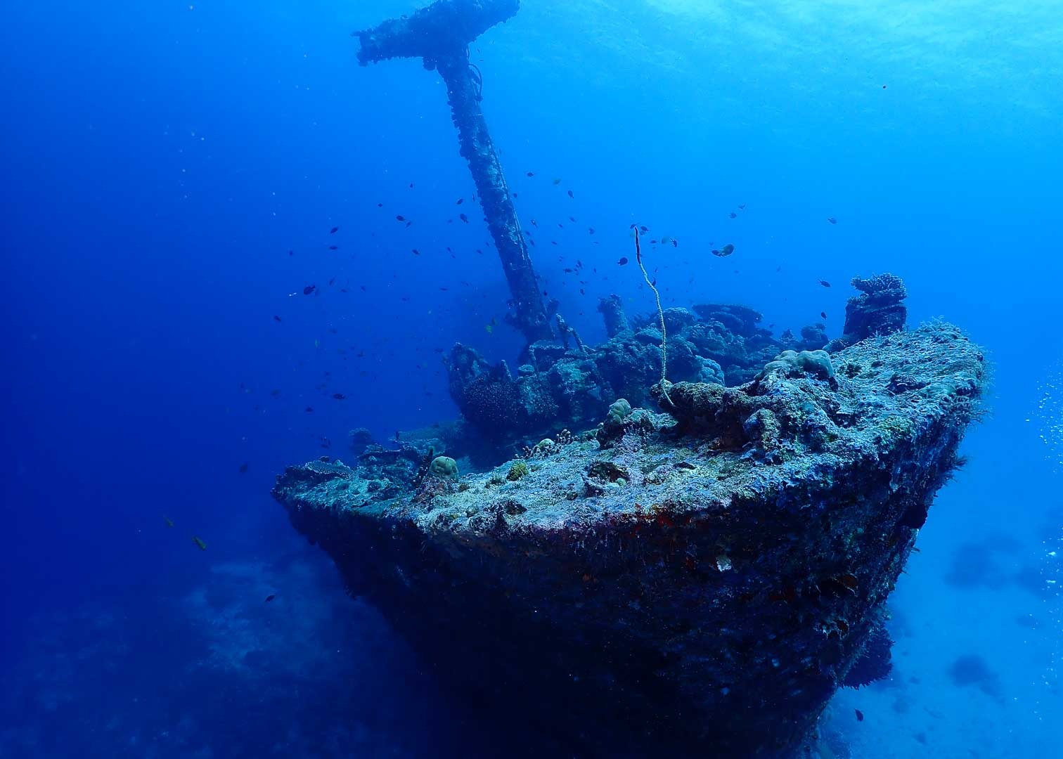 Bow of a sunken vessel at depth, Rabaul